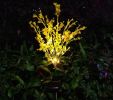 Outdoor Garden Patio Pathway Porch Backyard, LED Canola Flower Stake Light