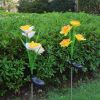 LED Daffodil Flower Stake Light Solar Energy Rechargeable for Outdoor Garden